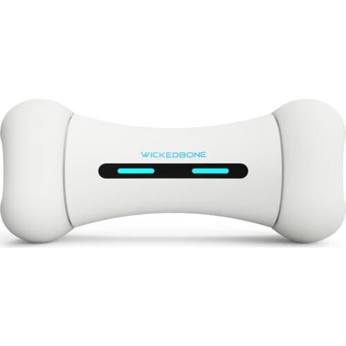 Wholesale Best Selling Pet Supplies Smart Bone Shaped Wickedbone Dog Chew Toy for Dog and Cat