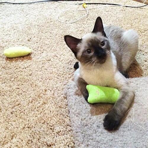 2PCS Catnip Toy Plush Bite-resistant Teeth Cleaning Cat Chew Toy Cat Sound Toy Cat Cute Cartoon Toy Funny Toy Interactive Toys