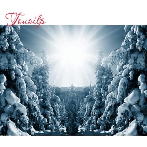 TOUOILP Full Square/Round Drill 5D DIY Diamond Painting"sunlight Snow"3D Embroidery Cross Stitch Mosaic Rhinestone Home Decor