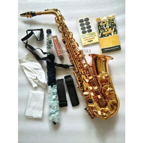 New Eb Alto saxophone Gold sax Mouthpiece and case