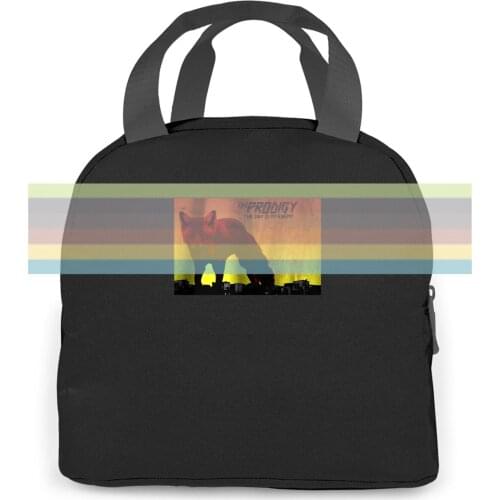 New The Prodigy The Day Is My Enemy Novelty Cool women men Portable insulated lunch bag adult