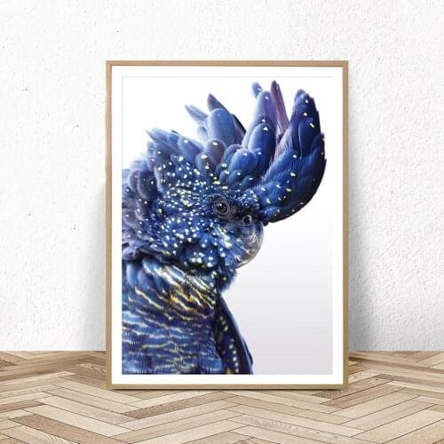 5D DIY square/round Diamond painting parrot Cross Stitch Diamond Embroidery Pattern Rhinestone home decor J1152