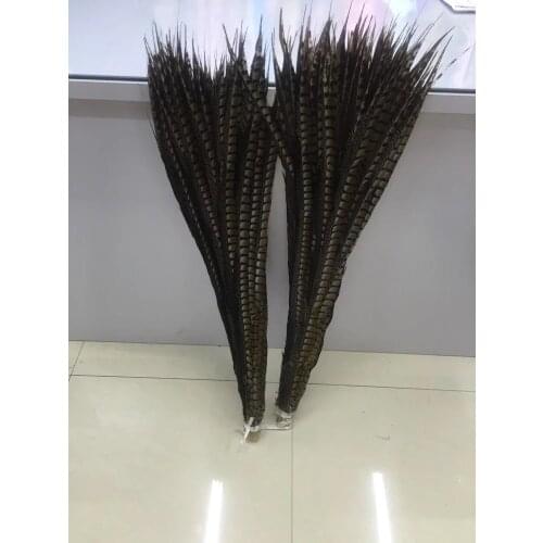 50pcs/lot Natural Lady Amherst Pheasant Feather50-55cm Reeve pheasant feather Plumes performance Plume