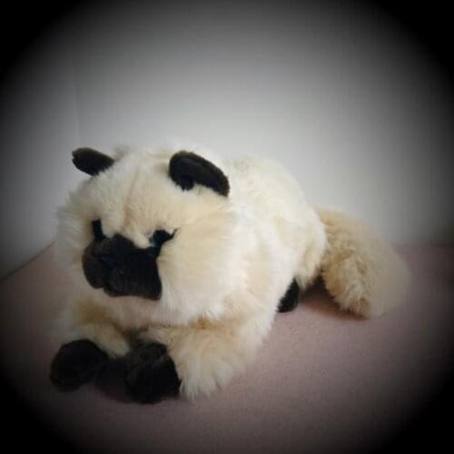 2019 Cute Siamese Cat Plush Toys Simulation Giant Squid Stuffed Toys Cute Animal Plush Dolls for Kids Girls Gifts