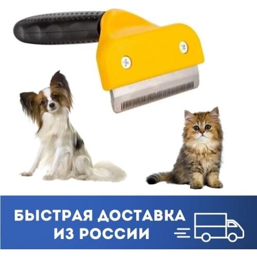 Азбука товаров Products For Cats