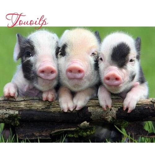 5D Square&round Three pigs 5d diy Diamond Embroidery Handmade Mosaic 5d Diy full 5d Diamond Painting Cross Stitch Pattern