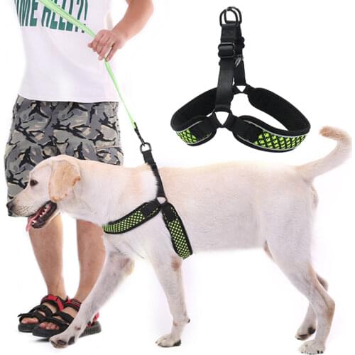COOYOMOO Harnesses