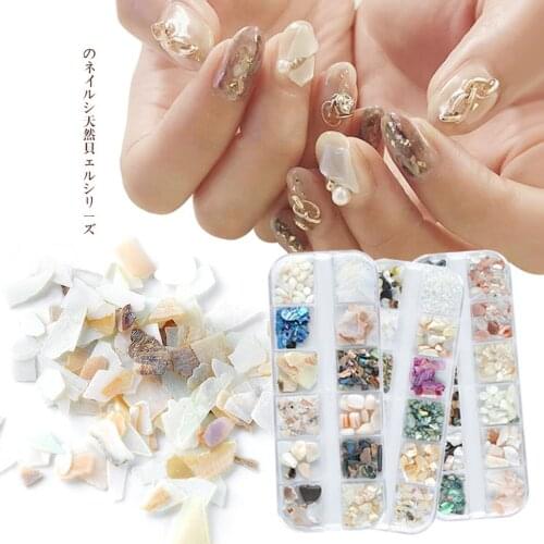 1box Mixed 3D Natural shell slice abalone thick high-gloss Nail art nail accessories set