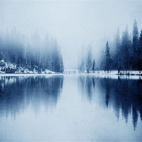 Modern minimalist forest wallpapers lake snow mountain landscape background wall decorative painting