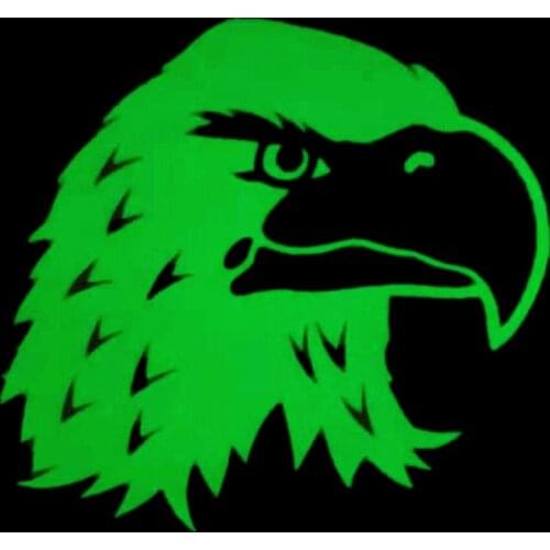 Patches Noctilucent Eagle Stickers for Clothes Thermal Transfer Printing Pattern DIY Decoration Animal Style Luminous Patch