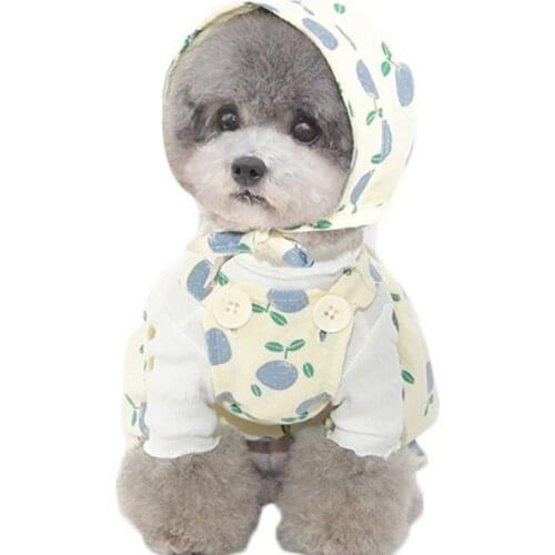 Fashion Loose Pet Cat Clothes Dog Jumpsuit Straps 4-Legs Coat Summer Refreashing Fruit Pattern Pajamas Jumpsuits Dog Overalls XL