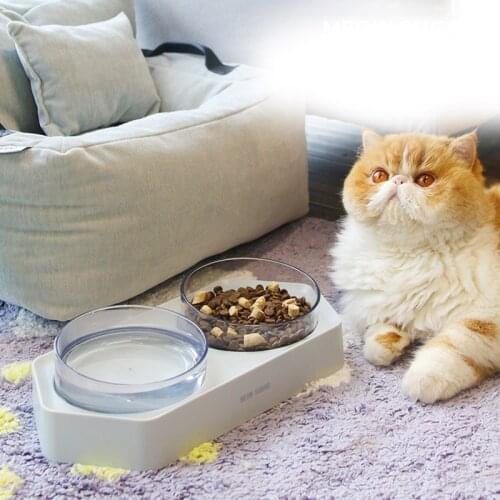 Dual Port Pet Feeder Dog Cat Automatic Drinking Fountain Feeding Food Bowl Puppy Water Dispenser Bowls Kitten Water Bottle