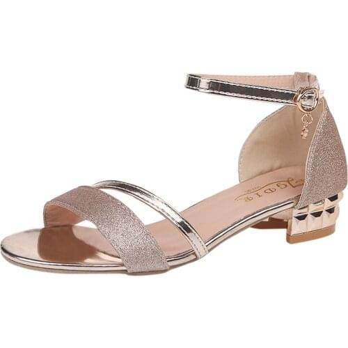 2020 Ladies Sandals Shoes Women Luxury High Quality Sandals Ankle Mid Heel Block Party Open Toe Square Shoes Zapatos De Mujer #3