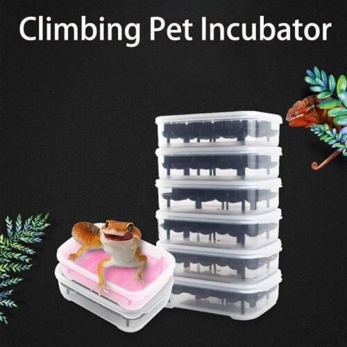 Climbing Pet Breeding Lizard Gecko Incubator Large Volume Transparent Reptile Incubator Plastic Incubator