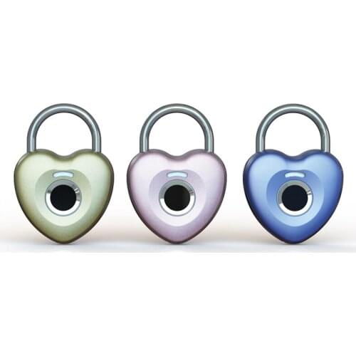 New Arrival Mini Lock Smart Fingerprint Keyless Unlock Paylock With USB Electric Mini PayLock