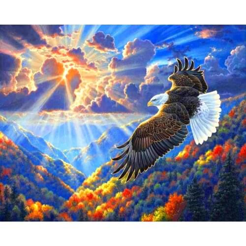 Full Diamond Mosaic 5D Diamond Painting Flying Eagle Cross stitch Diamond Embroidery Rhinestone Children Gifts