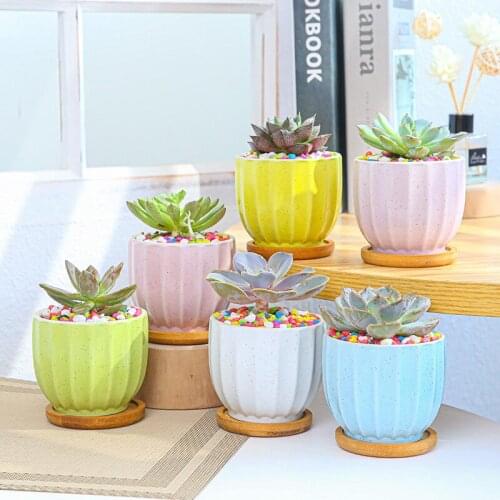 Creative Fleshy Flowerpot Cartoon Ceramic Home Gardening Basin Horticulture Macarone Potted Combination Flowerpot