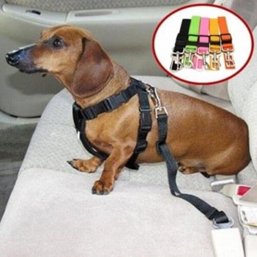 Fashion Cat Dog Pet Safety Car Vehicle Strap Seatbelt Seat Belt Adjustable Harness Lead Pet Accessories