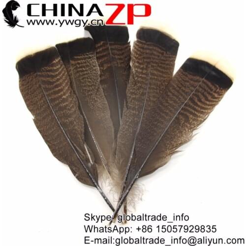 CHINAZP Factory Size 10"-12" (25-30cm) 50pcs/lot High Quality Natural Wild Turkey Flat Ruff Tail Feathers