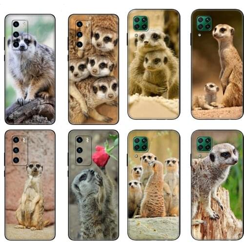 Black tpu Case For Huawei P30 Lite P30 Pro P40 Case For Huawei P40 LITE E P Smart 2020 Case Cover animal mob of meerkats