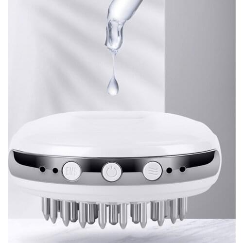 EMS Electric Head Massager Hair Growth Products Liquid Spray Hair Regrowth Comb for Scalp Care Beauty Hair Growth Care Tools