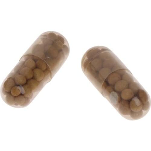 40 Pcs Aquatic Plant Water Root Fertilizer Condensed Aquarium Fish Tank Cylinder Nutrient in fertilizer