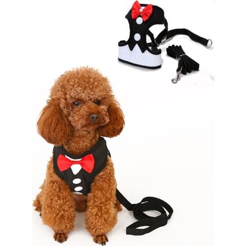 Bow Tie Dog Vest Harness Breathable Dog Harness And Leash Set For Small Dogs Cat Pet Dog Chest Strap Leash Vest-style Collars