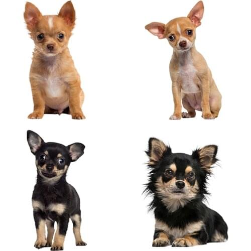 Three Ratels QC388 Dogs Wall Sticker home decoration accessories for living room car sticker