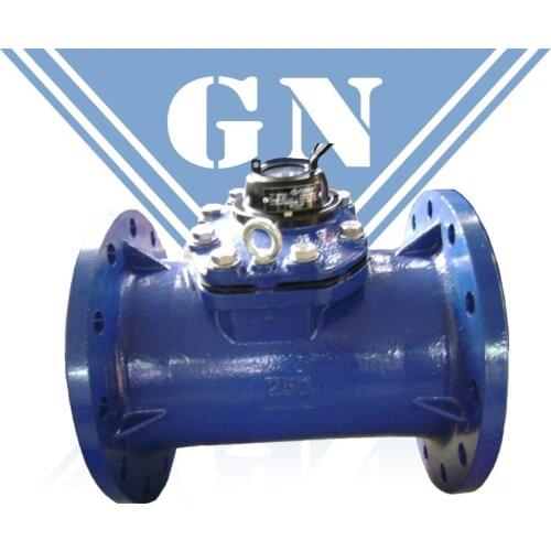 DN65 water flow gague