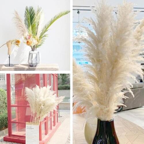 1Pc 55CM Big Reed Dried Flower Phragmites Indoor Home Holiday Party Wedding Parties DIY Garden Shop Festival Outdoor Decoration