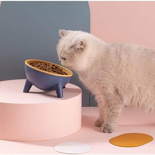 Pet Feeding Dog Cat Water Bowl Pet Cat Dog Anti-Strip Protection Cervical Spine Cat Bowl Anti-slip with Stand for Home Travel