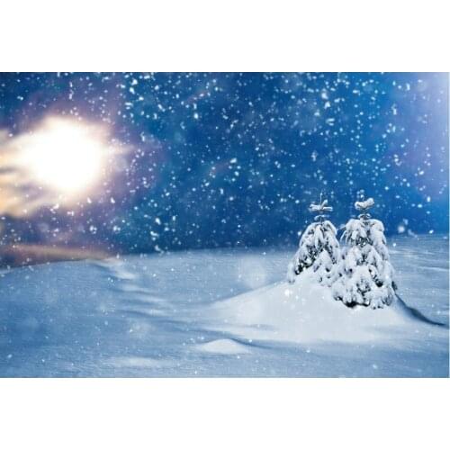 Christmas Backdrop Snowy Winter Landscape Photography Background Xmas New Year Party Decoration Photo Booth Studio Prop