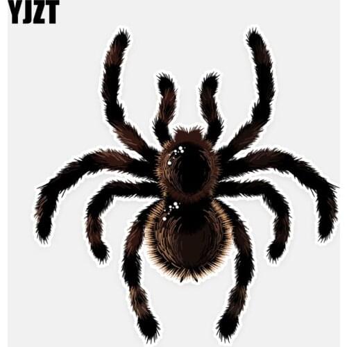 YJZT 13*13.5CM Scary Furry Spider Crawl Decor Car Stickers Colored Bumper Car Window Decals 11A0592