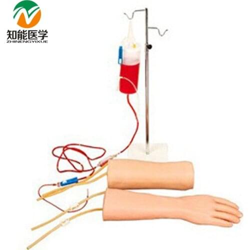 Chinon Combined Hand Elbow Intravenous Transfusion Simulator Medicine Student Medical Science Teaching Sources Supply BIX-HS18