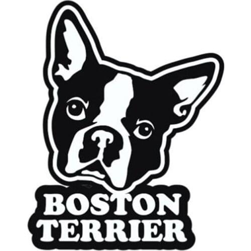 9.6cm*12.2cm Boston Terrier Accessories Car Styling Car Sticker Vinyl S4-0745