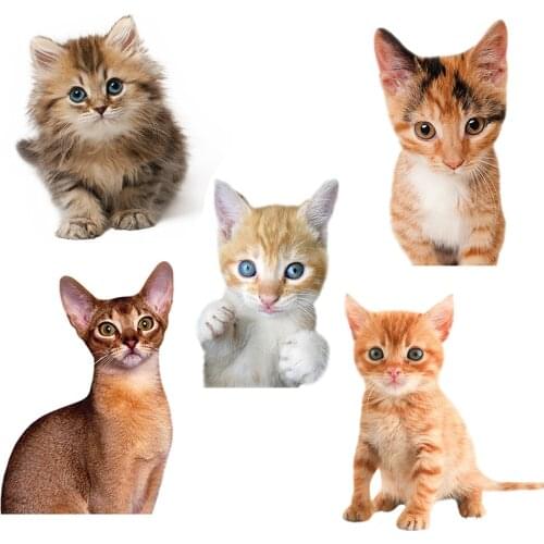 Three Ratels QD103 Cute kitten home decoration accessories for kids room PVC car hood sticker