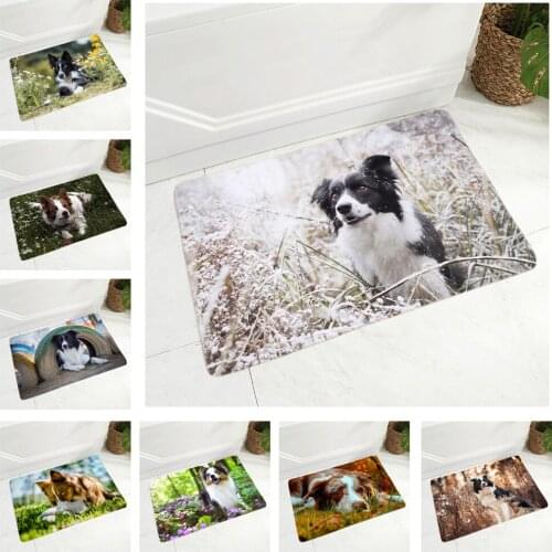 Pet Dog Animal Door Mat Non-Slip Doormat Flannel Carpet Floor Mat for Bedroom Hallway Decor Scotland Border Collie Rug 40x60cm