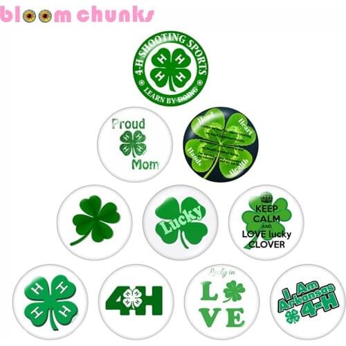 4H LUCKY CLOVER 10pcs mixed 12mm/18mm/20mm/25mm Round photo glass cabochon demo flat back Making findings C22702