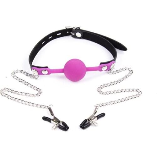 Silicone Link Mouth Breast Clip Couples Toys With Locks Female Sex Toys Mouth Ball Pink Silicone Mouth gag