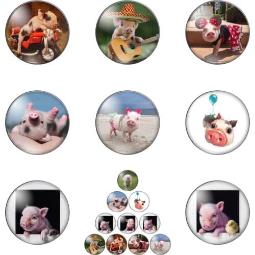 New Cute Pig Animals Round Photo Glass Cabochon Demo Flat Back Making Findings Handmade DIY Accessories