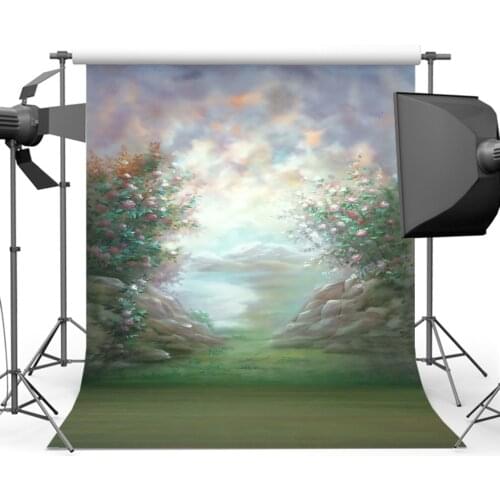 Mehofoto Abstract Texture Photography Background Old Master Hazy Backdrops for Portrait Photographers Studio CM-0543