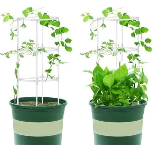Climbing Plant Support Cage Garden Plant Flower Trellis Frame Vine Holder Display Rack Decor Garden Tool Durable Iron Tube