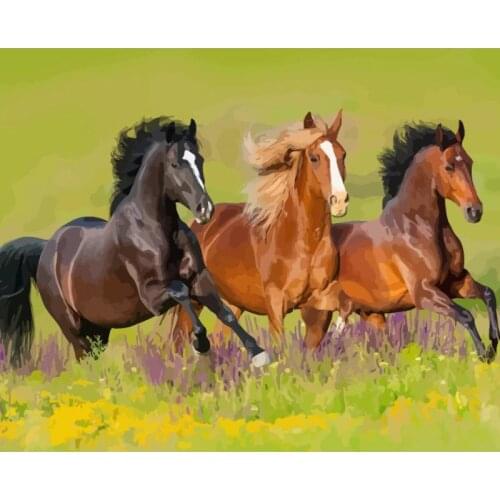 Grass Horse 40x50 50x65CM DIY Painting By Numbers Animals On Canvas Pictures By Numbers Home Decoration DIY Minimalism Style