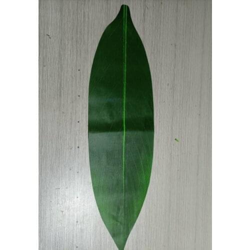 Free Shipping HM00001-A 100pcs/lot 65 CM Artificial Silk TI LEAVES Women Wear Accessories Hawaii Dance Party For Skirt