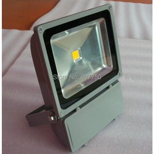 High quality waterproof IP65 single color COB 100w led flood light used for museums and scenic spots and man-made sculptures