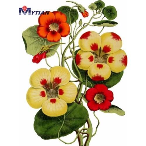 5D DIY Full Round & Square Diamond Painting Flowers Blossom Cross Stitch Diamond Embroidery Home Decor Mosaic Picture Needlework