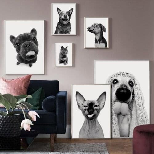 Art Canvas Painting Sphinx Cat French Bulldog BlueHeeler Animal Nordic Posters And Prints Wall Pictures For Living Room Decor