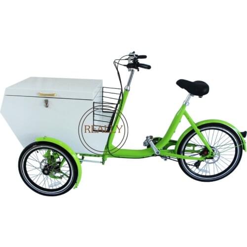 2021 New Design Cargo Bike with Metal Box Three Wheels Electric Tricycle For Adult Close With Lid