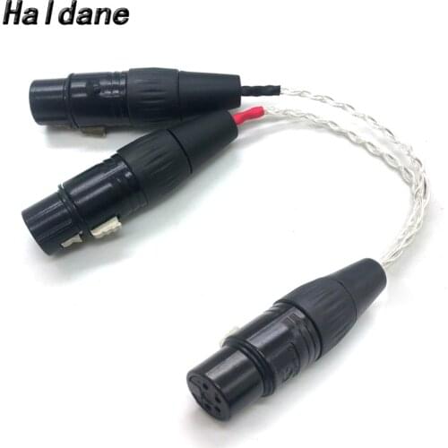 Haldane Electronics