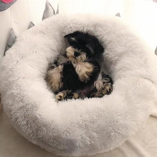 Домики-подушки для кошки Intelitopia China At AliExpress